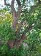2006-0605-1624-03.jpg